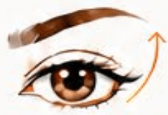 Brow Lift