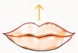 Lip Flip